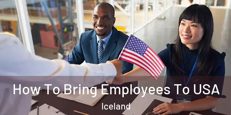  How To Bring Employees To USA Iceland